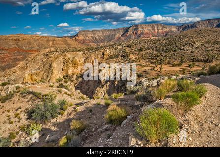 Beaver Dam Mtns Wilderness, Cedar Pockets Wash Area, Yellow Knolls over Virgin River Gorge in dist, Cedar Pocket Rd, Sunset, Mojave Desert, Arizona Stockfoto