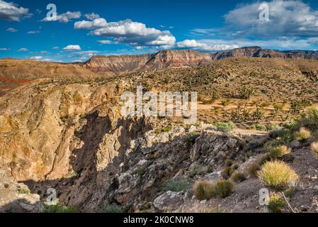 Beaver Dam Mtns Wilderness, Cedar Pockets Wash Area, Yellow Knolls over Virgin River Gorge in dist, Cedar Pocket Rd, Sunset, Mojave Desert, Arizona Stockfoto