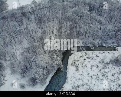 Verschneite Wälder und kurviger Fluss auf der Ebene im Winter. Luftaufnahme der Natur im Winter Stockfoto