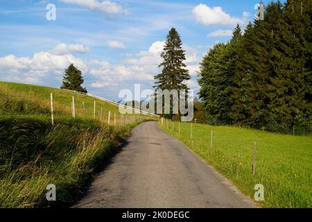 Eine Straße, die durch die grünen Wiesen des Alpentales im Allgau führt, Bayern mit den Alpen im Hintergrund (Nesselwang, Deutschland) Stockfoto