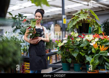 Frau, die in einem Gartencenter arbeitet Stockfoto