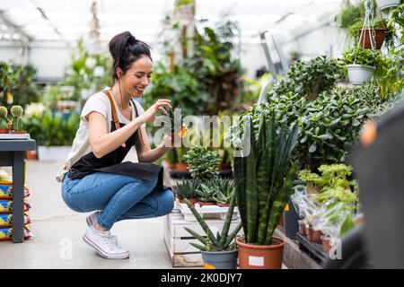 Frau, die in einem Gartencenter arbeitet Stockfoto