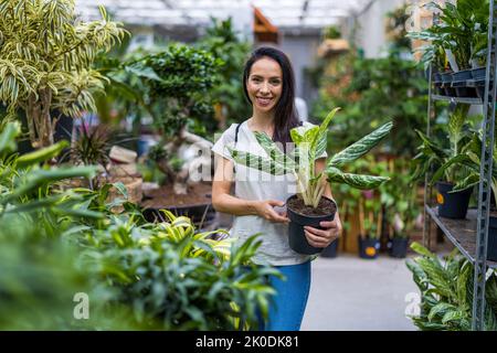 Frau, die in einem Gartencenter arbeitet Stockfoto