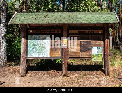 Wald am Fürstensee im Nationalpark Müritz, Mecklenburg-Vorpommern, Deutschland Stockfoto