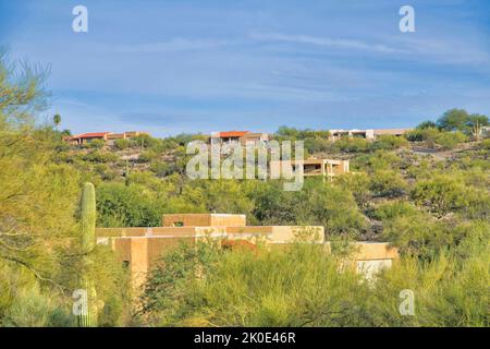 Nachbarschaft auf einem Buschland-Gebiet in Tucson, Arizona. Es gibt wilde Pflanzen und Kakteen, die die Häuser gegen den bewölkten Himmel am Backgroun umgeben Stockfoto