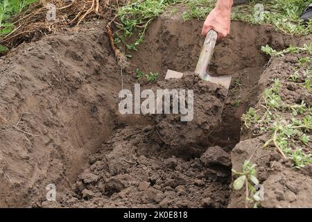 Der Mann gräbt eine tiefe Grube. Graben einer Grube durch Schaufel. Stockfoto