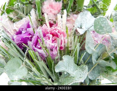 Gefrorene Blütenzusammensetzung im Eisblock Stockfoto