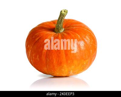 Kürbis isoliert auf weißem Hintergrund, einzelne frische Gemüse Nahaufnahme. Kleiner orangefarbener ganzer Kürbis, ein reifer Kürbis an Halloween, Thanksgiving. Design, Stockfoto