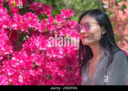Eine chinesin, die an einem sonnigen Tag in Neuengland in der Nähe von Fuschia-rosa Azaleen in einem Garten steht. Stockfoto