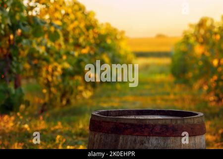 Holzfass für Wein auf dem Weinberg in der Landschaft bei Sonnenuntergang Stockfoto