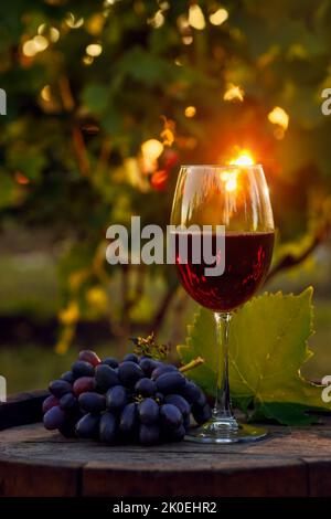 Rotwein im Glas und reifes Traubenbündel auf Holzfass mit Weinberg Stockfoto