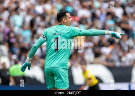 Rio De Janeiro, Brasilien. 11. September 2022. MG fand am Sonntagmorgen (11) im Nilton Santos Stadium für die 26. Runde der Brasilianischen Meisterschaft 2022 in Rio de Janeiro, RJ, statt. Kredit: Celso Pupo/FotoArena/Alamy Live Nachrichten Stockfoto