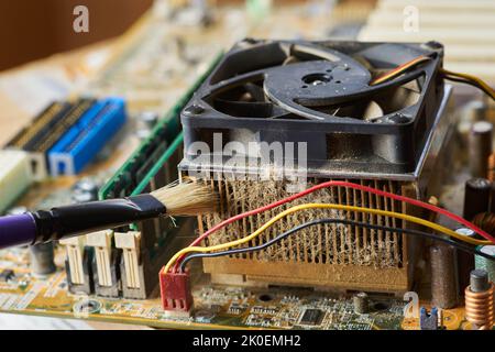 Bürste zum Reinigen einer alten Computerplatine von Staub und Schmutz. Nahaufnahme. Stockfoto