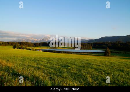 Wanderweg mit Blick auf den malerischen Attlesee in den bayerischen Alpen, Nesselwang, Allgäu oder Allgau, Deutschland Stockfoto