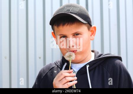 Defokussieren lächelnder Junge blasen Dandelion. Ein glücklicher Junge bläst an einem sonnigen Sommerabend auf ein Feld, die Flusen davon fliegen. Das Konzept der Erholung im Freien Stockfoto