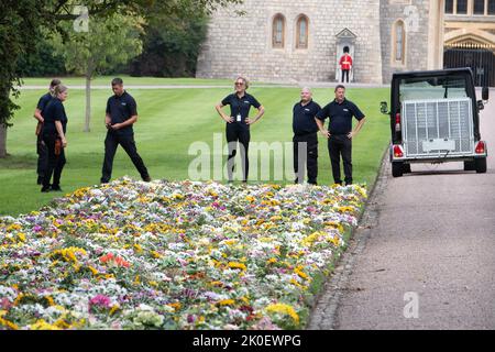 Windsor, Großbritannien. 11.. September 2022. Die Gärtner vom Crown Estate legten die Blumen, die von Trauernden hinterlassen wurden, heute auf dem langen Spaziergang auf die Rasenflächen im Windsor Castle. Quelle: Maureen McLean/Alamy Live News Stockfoto