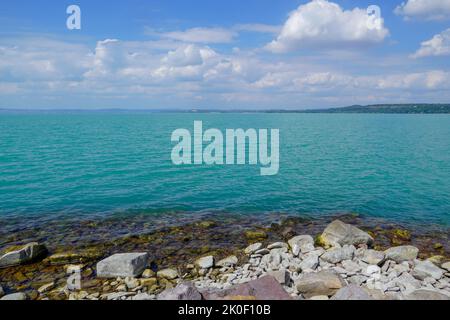 Schöner Plattensee im Sommer Stockfoto