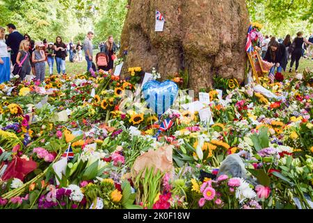 London, England, Großbritannien. 11. September 2022. Blumengebete für die Queen im Green Park. Viele der Blumen wurden von außerhalb des Buckingham Palace gebracht, während Tausende von Menschen auch neue Blumengeschenke brachten. Die Königin starb am 8.. September im Alter von 96 Jahren. (Bild: © Vuk Valcic/ZUMA Press Wire) Bild: ZUMA Press, Inc./Alamy Live News Stockfoto