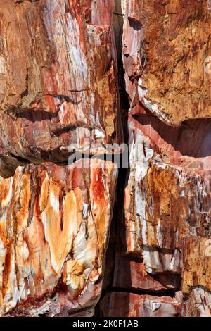 Farbenprächtiger versteinerter Stamm im versteinerten Wald von Sigri, auf der Insel Lesvos, Griechenland, Europa. Stockfoto