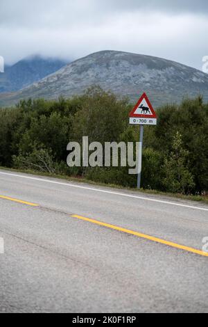 Straßenschild für Elche in Lofoten, Norwegen Stockfoto