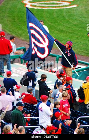 Ein Mann steht oben auf dem Dugout im Washington Nationals Ballpark, winkt der Flagge des Baseballteams, um die Menge beim Jubeln für den Club anzuführen Stockfoto