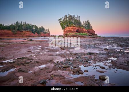 Der Meeresboden und der Meeresboden werden bei Ebbe von der aufgehenden Sonne im Burntcoat Head Park an der Bay of Fundy in Nova Scotia beleuchtet. Stockfoto