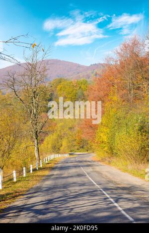 Alte Bergstraße im Herbst. Landausflug an einem warmen, sonnigen Tag. Bäume entlang des Weges in farbenfrohem Laub Stockfoto
