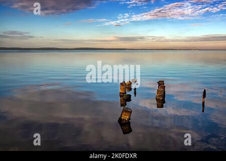 Alte hölzernen Steg-Säulen ragen aus dem Wasser. Toter Baum stolpert im Wasser Stockfoto