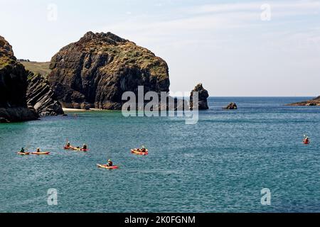 Kajakfahren im historischen Hafen von Mullion Cove in Mounts Bay Cornwall England. 13. vom August 2022. Mullion Cove oder Porth Mellin - Hafen im Westen c Stockfoto