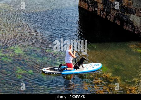 Kajakfahren im historischen Hafen von Mullion Cove in Mounts Bay Cornwall England. 13. vom August 2022. Mullion Cove oder Porth Mellin - Hafen im Westen c Stockfoto