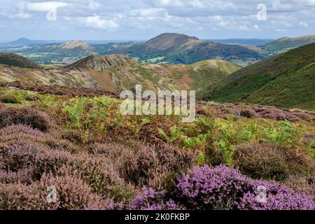 Blick auf das Town Brook Valley vom Long Mynd in Richtung Caer Caradoc, Church Stretton, Shropshire Stockfoto