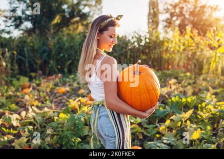 Kürbisernte. Porträt einer jungen Farmerin, die auf dem Bauernhof Gemüse aus dem Herbst pflückt. Glücklicher Arbeiter hält bei Sonnenuntergang großen Kürbis auf dem Feld Stockfoto