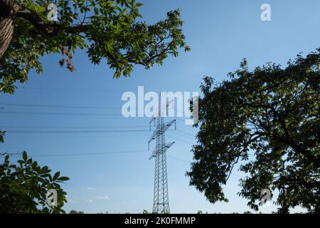 Niedriger Winkel der Hochspannungsleitung und des elektrischen Kabels gegen den sonnigen blauen Himmel zwischen dem Baum. Stockfoto