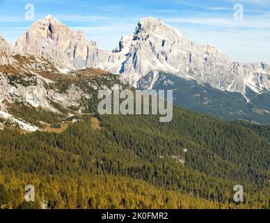 Lärchenholz und Le Tofane Gruppe, Dolomiti, Italien Stockfoto