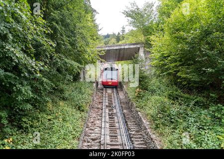 Rote Seilbahn fährt bergab von Harder Kulm, Top of Interlaken. Transport, Tourismus. Stockfoto