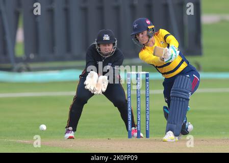 Beckenham, Großbritannien. 11. September 2022. London, Großbritannien. Phoebe Franklin, der Star, ist beim Kampf der South East Stars gegen die Central Sparks im Rachael Heyoe-Flint Trophy-Spiel auf dem County Ground, Beckenham, im Kampf. Kredit: David Rowe/Alamy Live Nachrichten Stockfoto