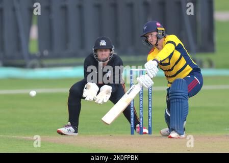 Beckenham, Großbritannien. 11. September 2022. London, Großbritannien. Kirstie White, der Star, ist im Kampf der Südost-Stars gegen die Central Sparks im Rachael Heyoe-Flint Trophy-Spiel auf dem County Ground in Beckenham. Kredit: David Rowe/Alamy Live Nachrichten Stockfoto