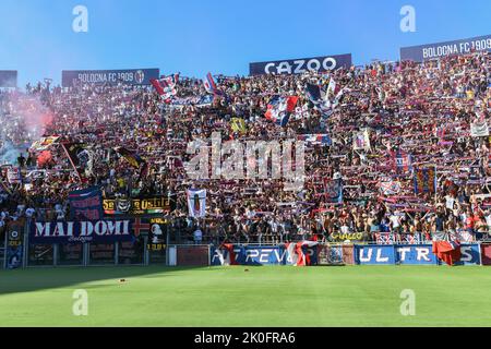 Bologna, Italien. 11. September 2022. Anhänger von Bologna feiern den Sieg beim FC Bologna gegen ACF Fiorentina, italienische Fußballserie A Spiel in Bologna, Italien, September 11 2022 Quelle: Independent Photo Agency/Alamy Live News Stockfoto