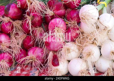 Nahaufnahme von Haufen roter und weißer Schalotten zum Verkauf auf Farmer's Market Stockfoto