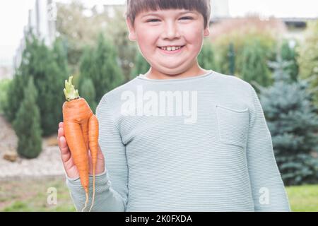 Lächelnder, sieben Jahre alter Junge, der unperfektes Gemüse in der Hand hält - Karotte. Kind im Garten hilft bei der Gartenarbeit und Ernte. Junge Gesicht und Lächeln. Stockfoto