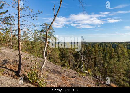 Naturlandschaft im Nuuksio Nationalpark in Finnland Stockfoto