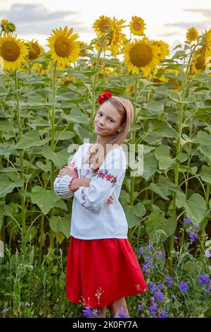 Junge schöne Mädchen auf einem Feld von Sonnenblumen Stockfoto