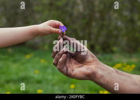 Vater, schmutzig nach der Arbeit, gibt seiner Tochter eine Blume Stockfoto