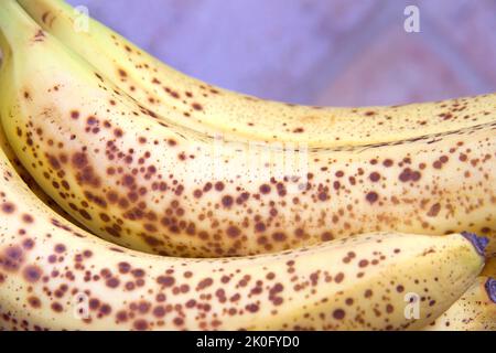 Nahaufnahme von überreifen Bananen. Gelb mit braunen Flecken. Stockfoto