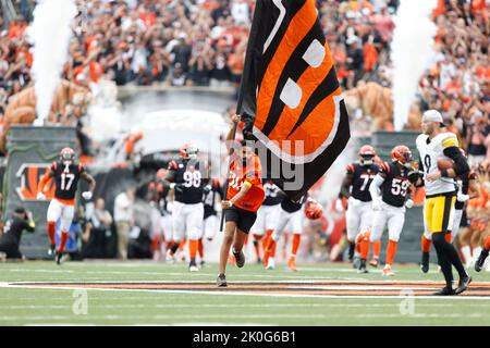 Cincinnati, Ohio, USA. Cincinnati, Ohio, USA. 11. September 2022. Cincinnati Bengals nehmen in DER 1. WOCHE des regulären NFL-Saisonspiels zwischen den Pittsburgh Steelers und Cincinnati Bengals im Paul Brown Stadium in Cincinnati, Ohio, das Feld auf. JP Waldron/Cal Sport Media/Alamy Live News Stockfoto