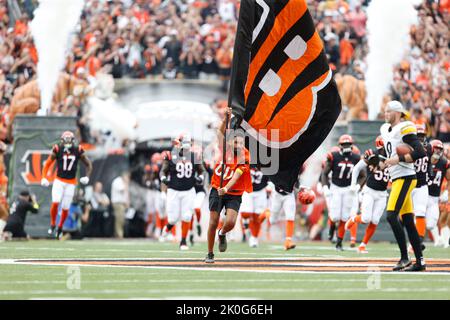 Cincinnati, Ohio, USA. Cincinnati, Ohio, USA. 11. September 2022. Cincinnati Bengals nehmen in DER 1. WOCHE des regulären NFL-Saisonspiels zwischen den Pittsburgh Steelers und Cincinnati Bengals im Paul Brown Stadium in Cincinnati, Ohio, das Feld auf. JP Waldron/Cal Sport Media/Alamy Live News Stockfoto