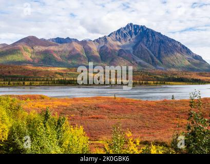 Herbstlandschaft in der Wildnis Alaskas Stockfoto
