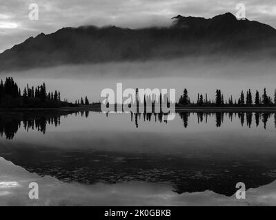 Monotone Landschaft in der Wildnis Alaskas Stockfoto