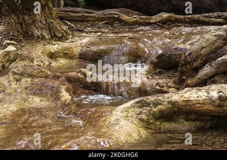 Malerischer, schnell fließender felsiger Bach mit kleinen Wasserfall-Kaskaden im Wald. Schöner natürlicher Hintergrund für Ihr Design. Stockfoto