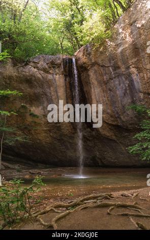 Malerischer kleiner Wasserfall mündet in den Waldteich. Schöner natürlicher Hintergrund für Ihr Design. Stockfoto